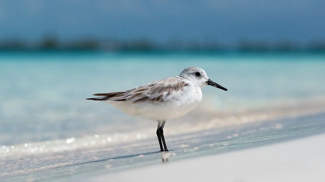 แลนด์มาร์คในเวสต์ปาล์มบีช